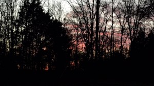 IMG_0707